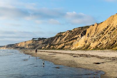 Sandee - Black's Beach