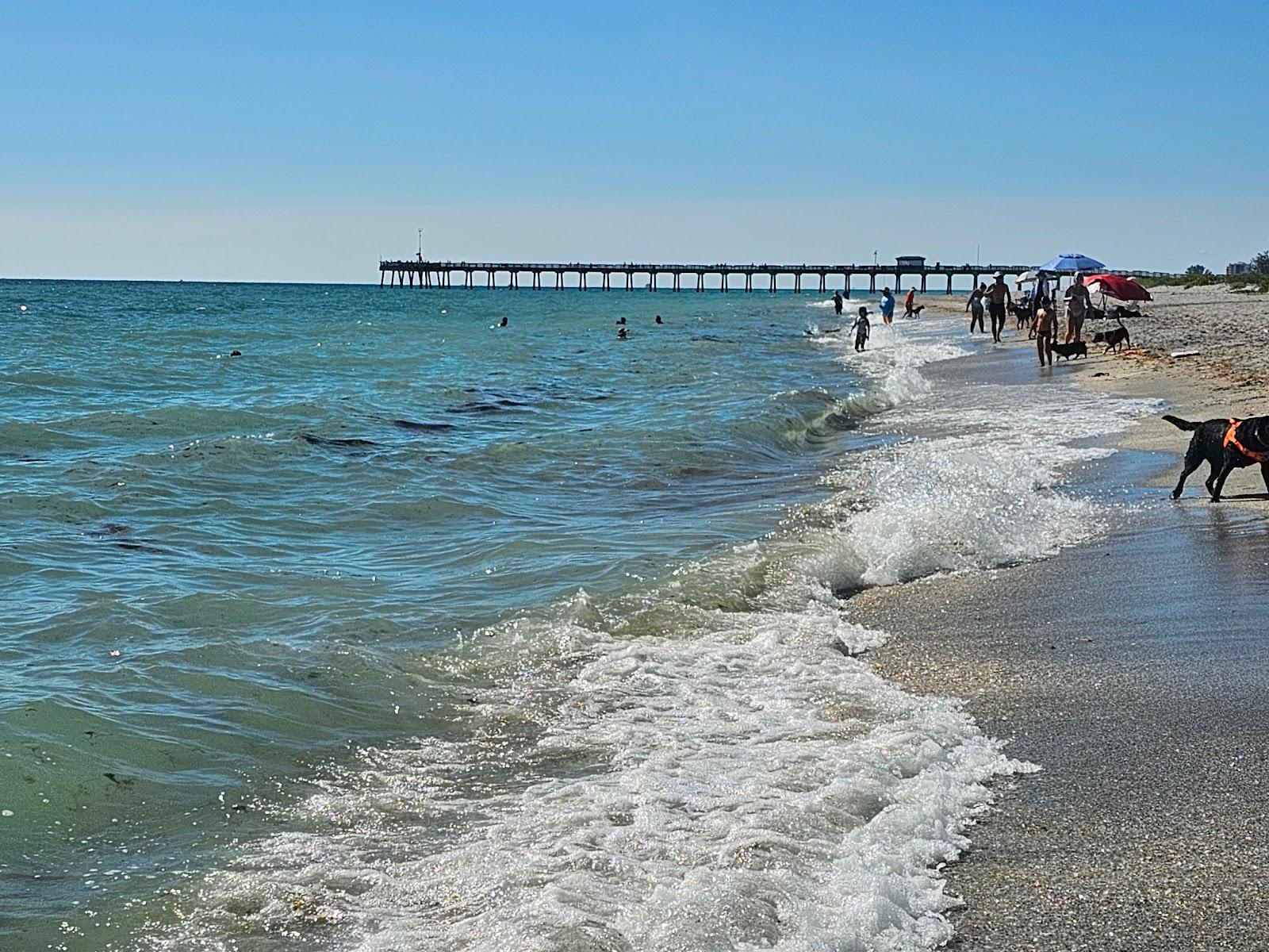 Sandee Brohard Beach And Paw Park Photo