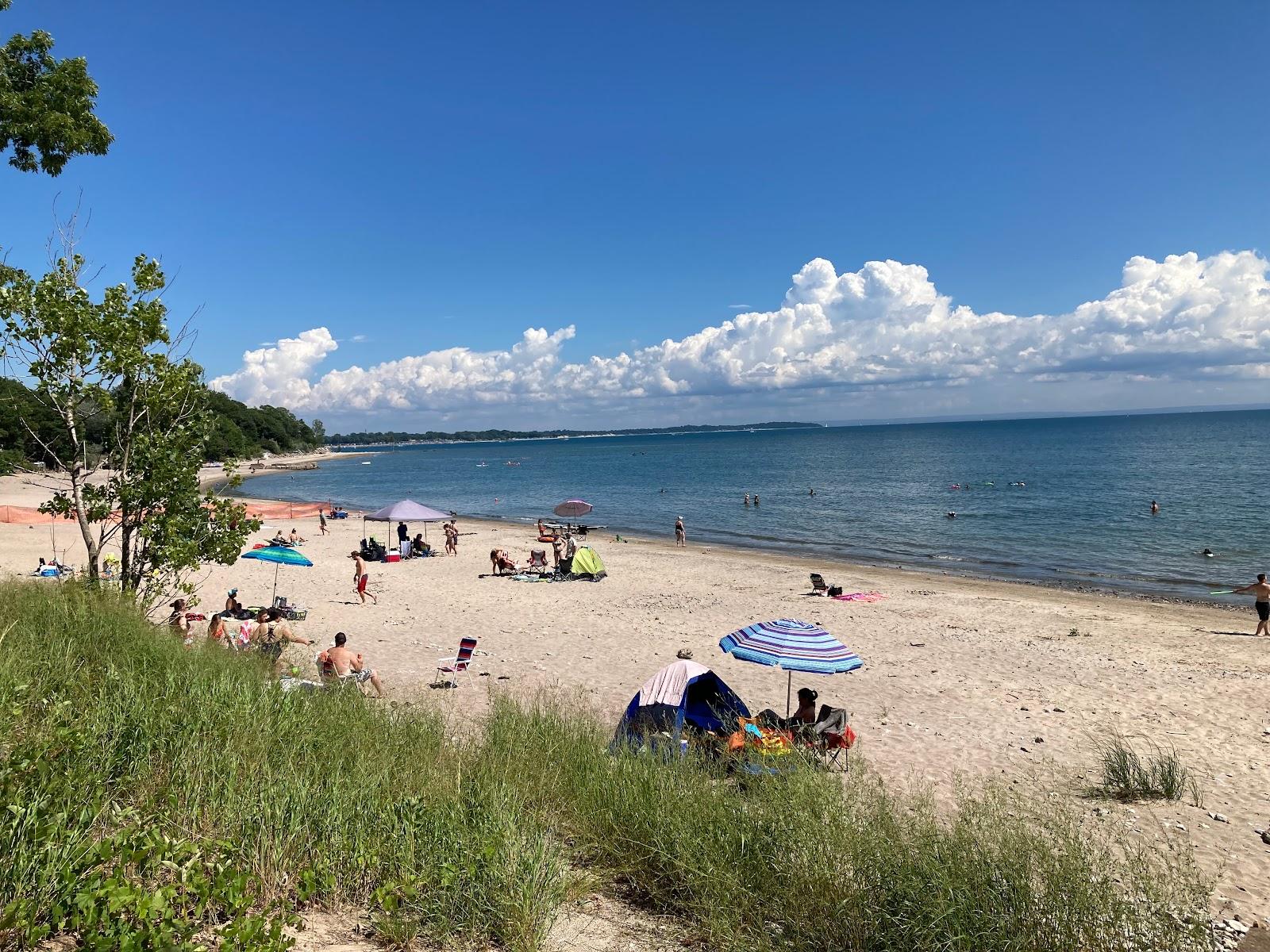 Sandee Public Beach Pineta
