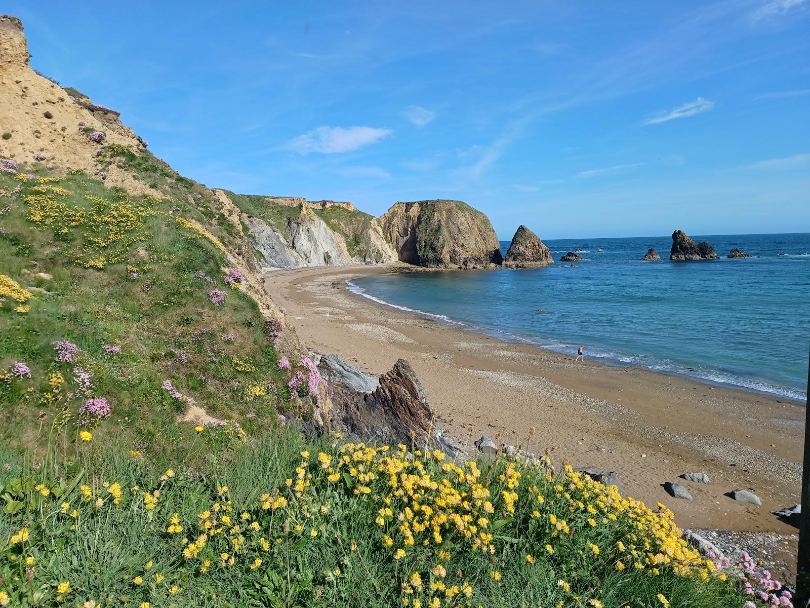 Sandee Benvoy Beach