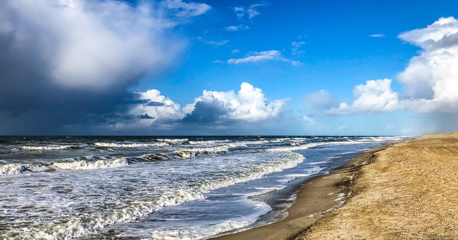 Sandee Nymindegab Strand Beach Photo