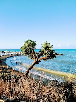 Sandee - Spiaggia Di Punta Vagno