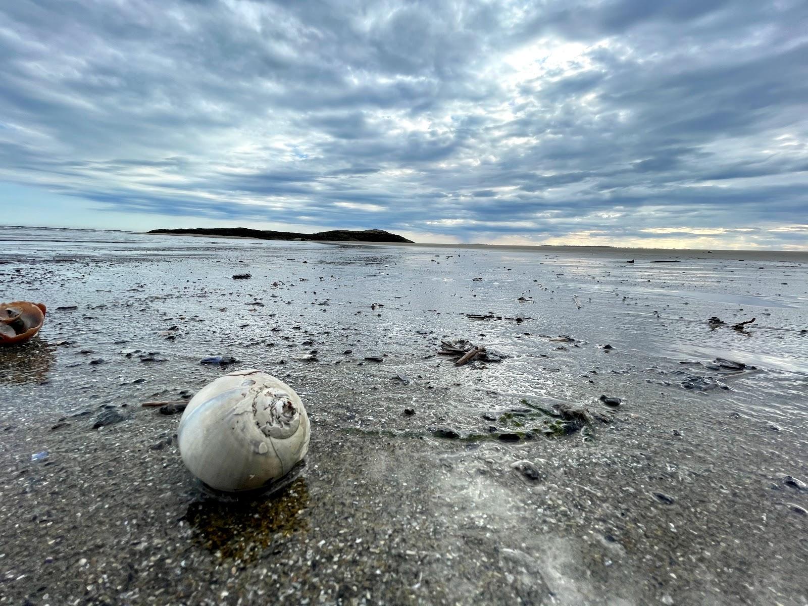 Sandee - Seawall Beach, Morse Mountain