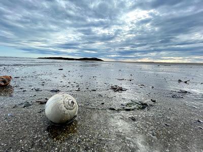 Sandee - Seawall Beach, Morse Mountain