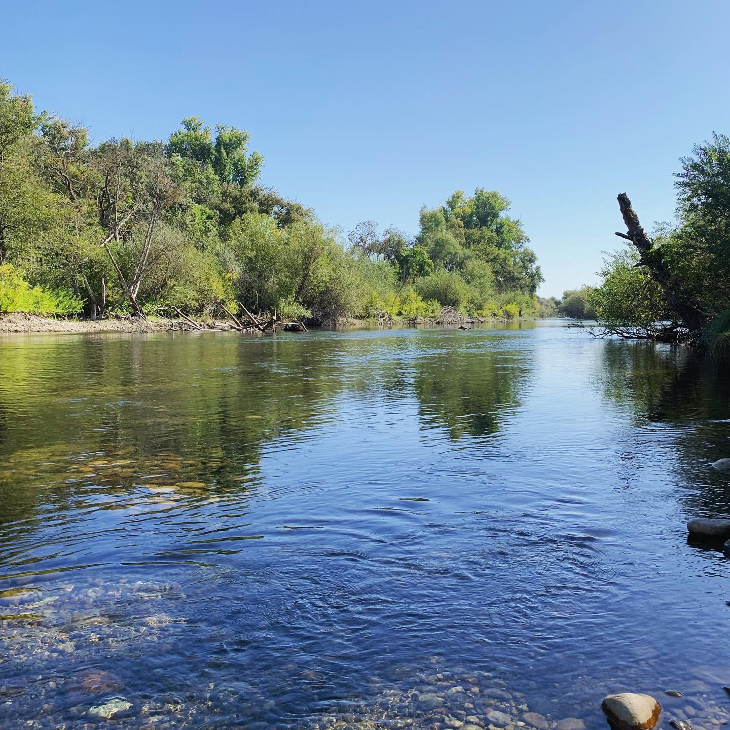 Sandee - Turlock Lake State Recreation Area