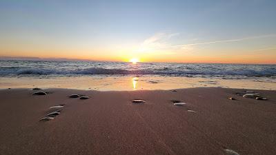 Sandee - Arcadia Beach Natural Area