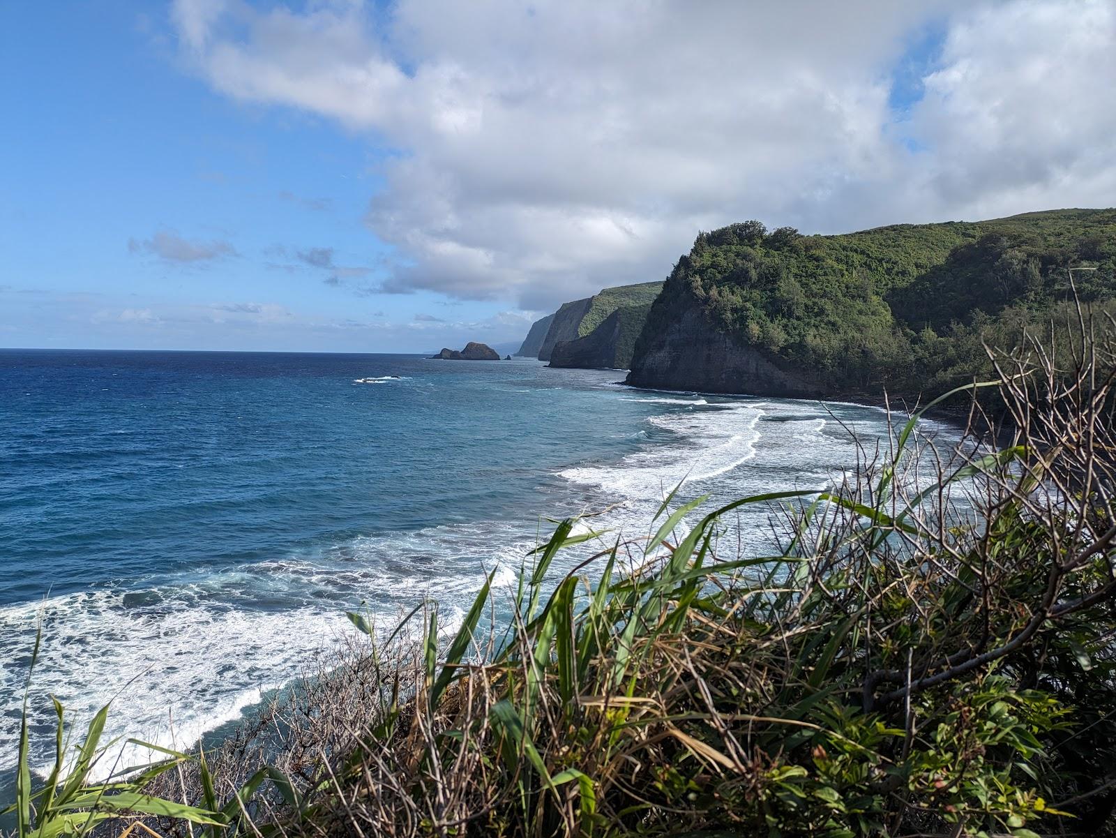 Sandee Pololu Valley Beach