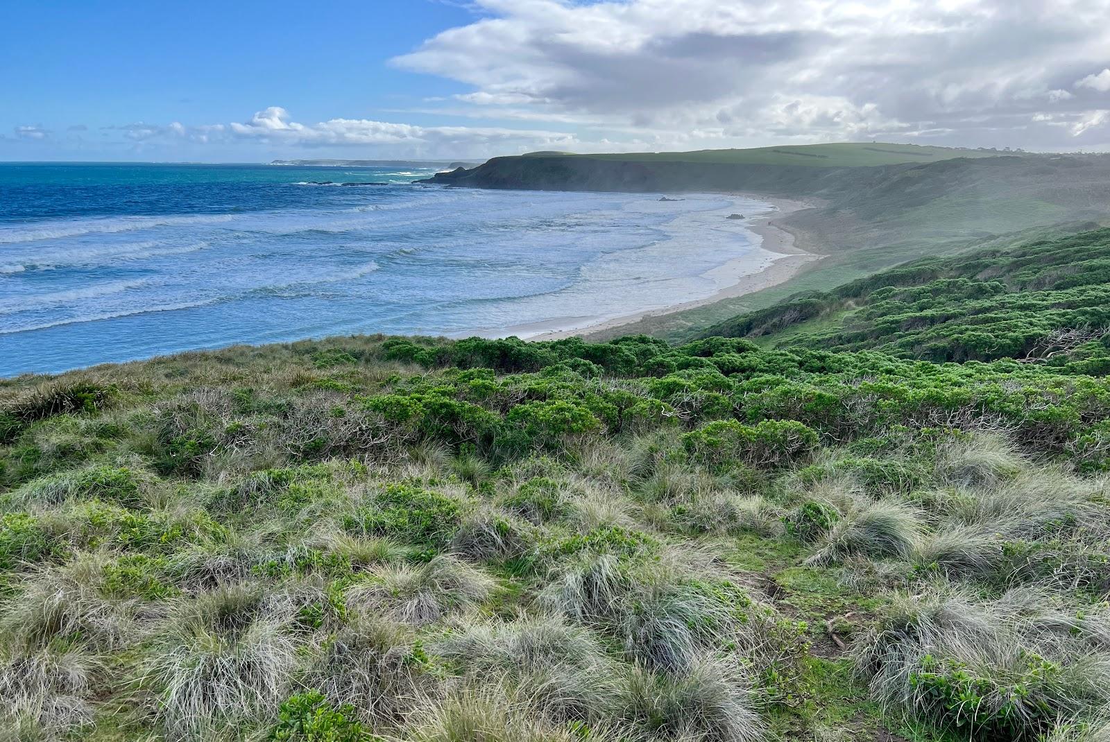 Sandee Hutchinson Beach Photo