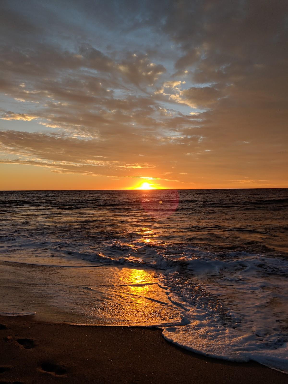Sandee Robert Point