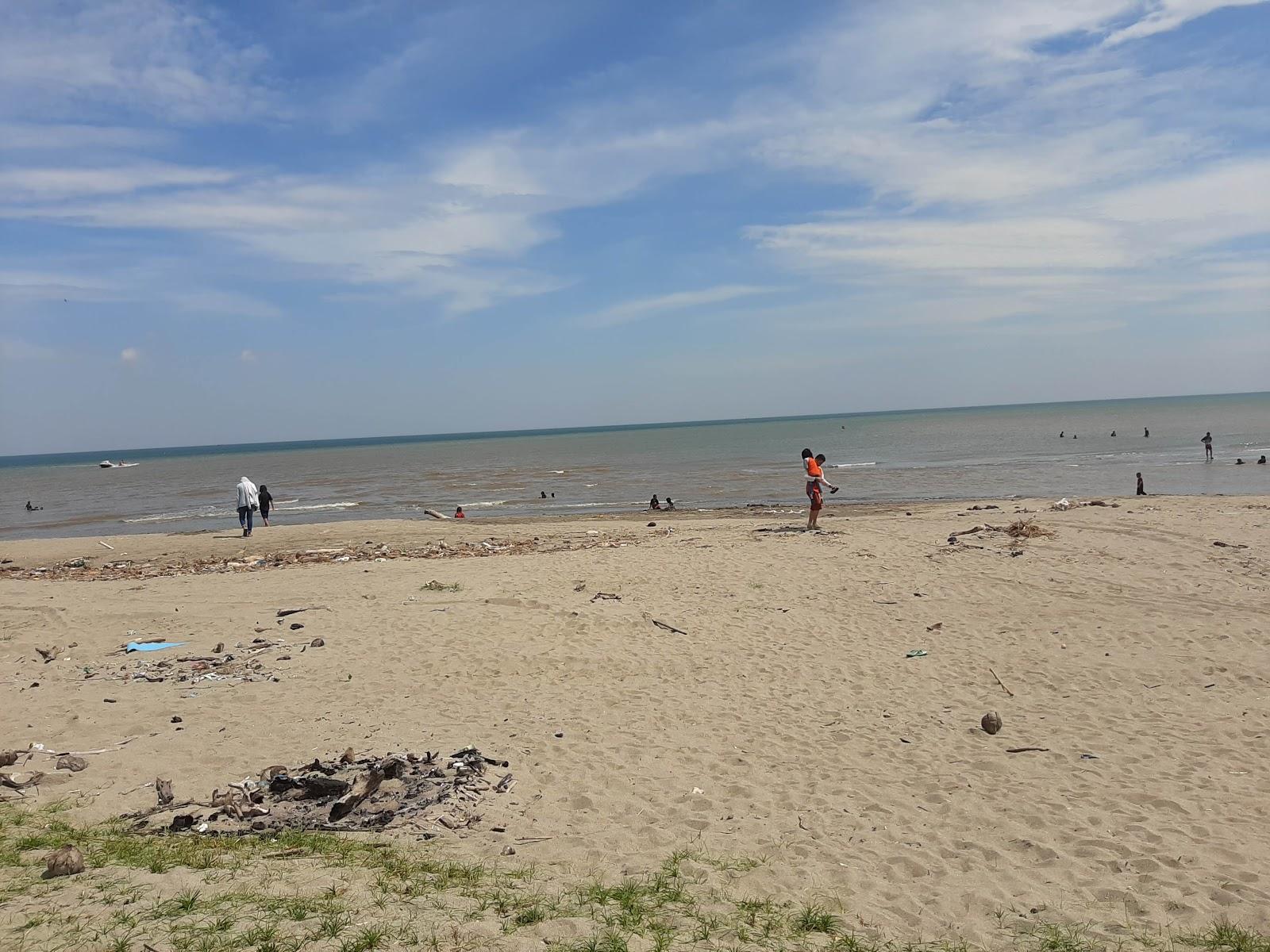 Sandee Mangrove Semberah Beach