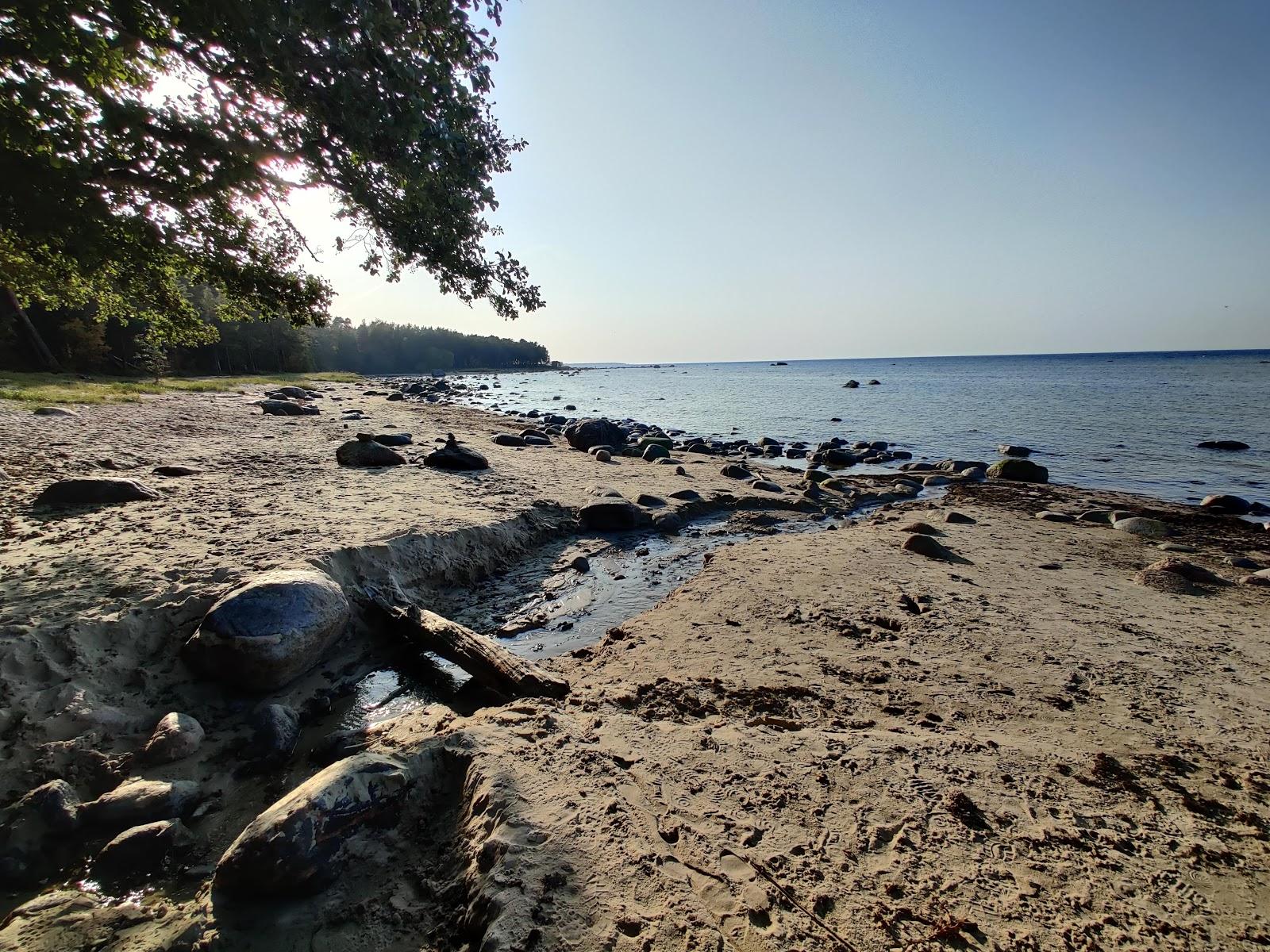 Sandee Turisalu Beach