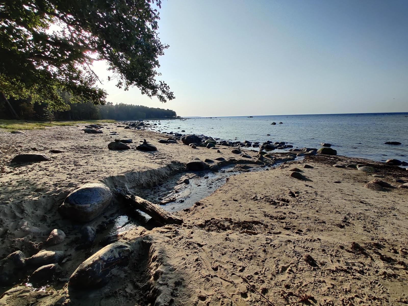 Sandee Turisalu Beach Photo