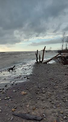 Sandee - Big Creek National Wildlife Area