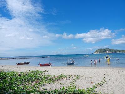 Sandee - Tony Alunan White Beach