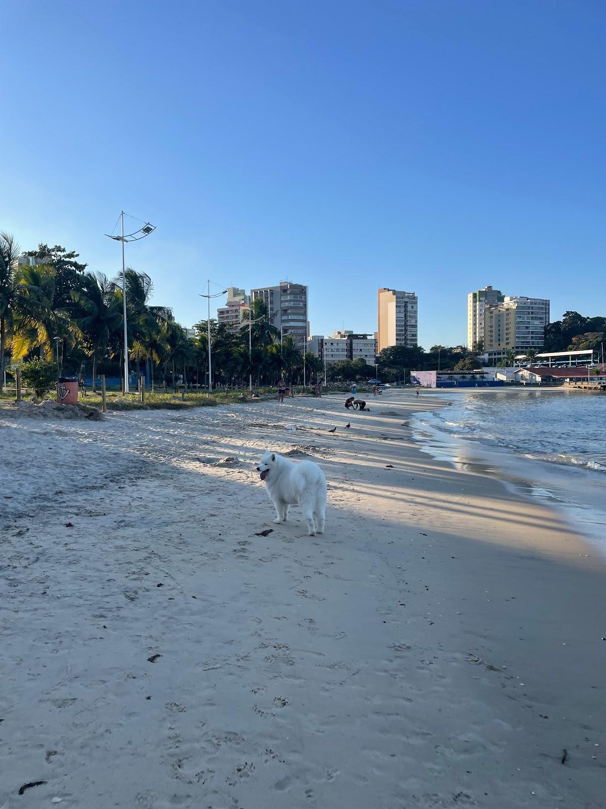 Sandee Praia Das Criancas