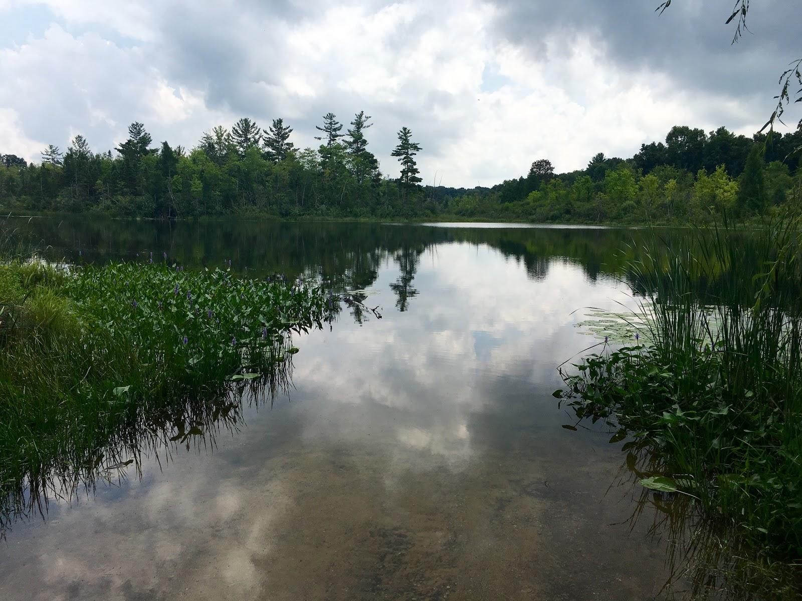 Sandee Chamberlain Lake Photo