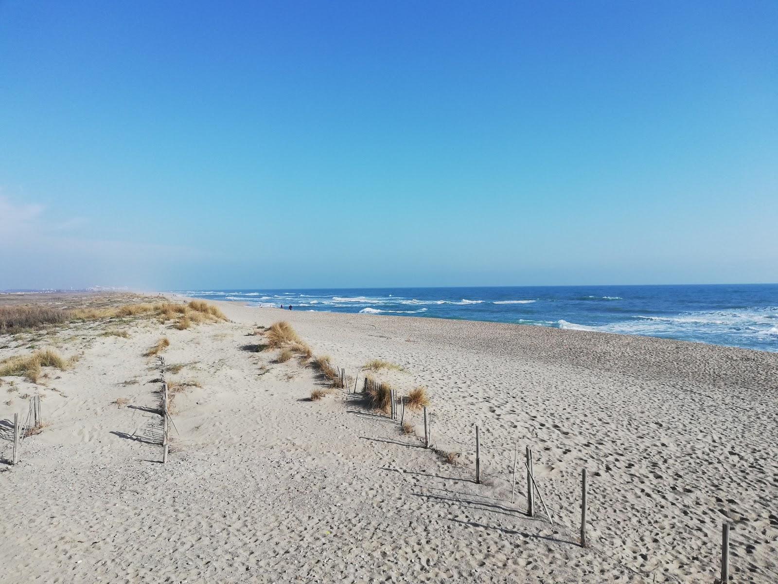 Sandee La Plage Du Bocal Du Tech, Elne
 Photo