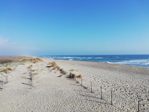 Sandee - La Plage Du Bocal Du Tech, Elne
