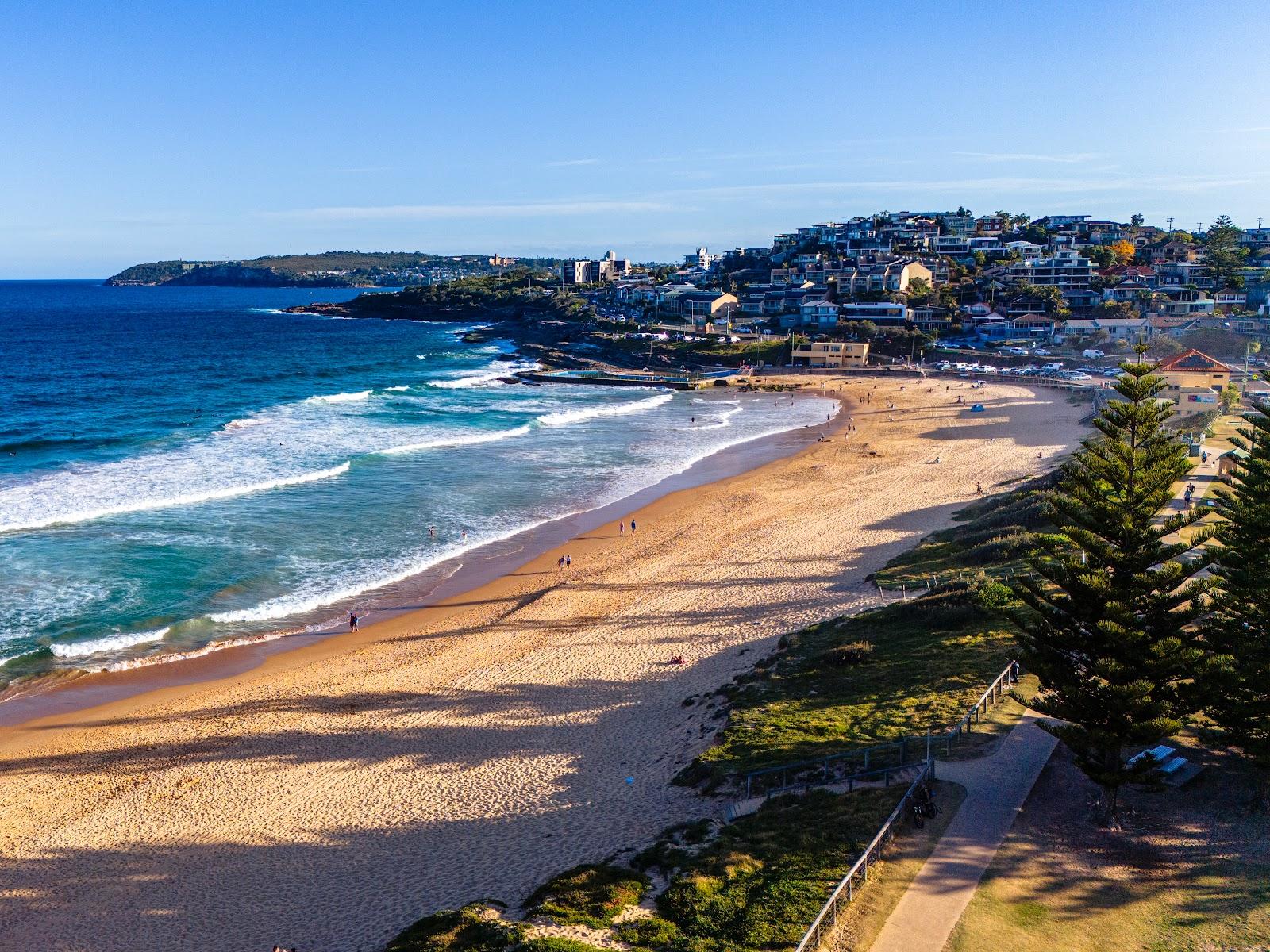 Sandee Curl Curl Beach Photo