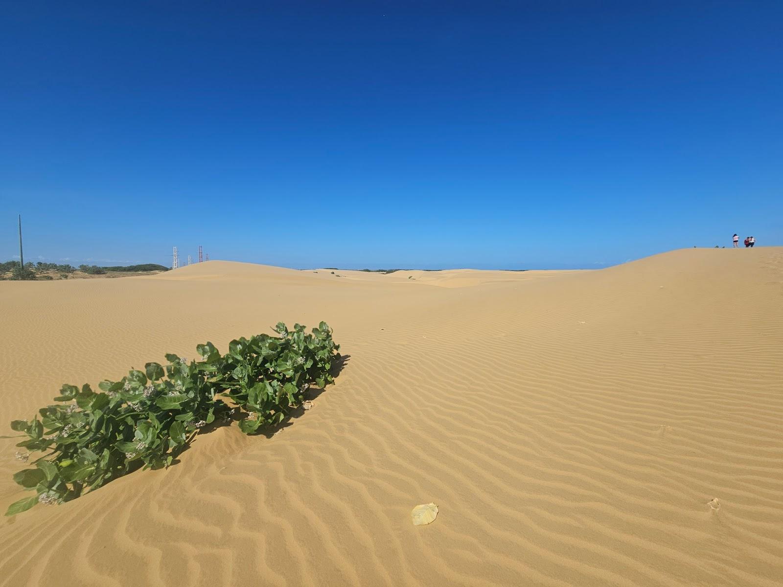 Sandee Parque Nacional Medanos De Coro Photo