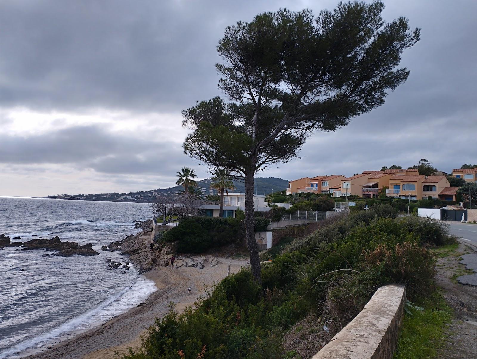 Sandee Plage Du Pebrier Photo