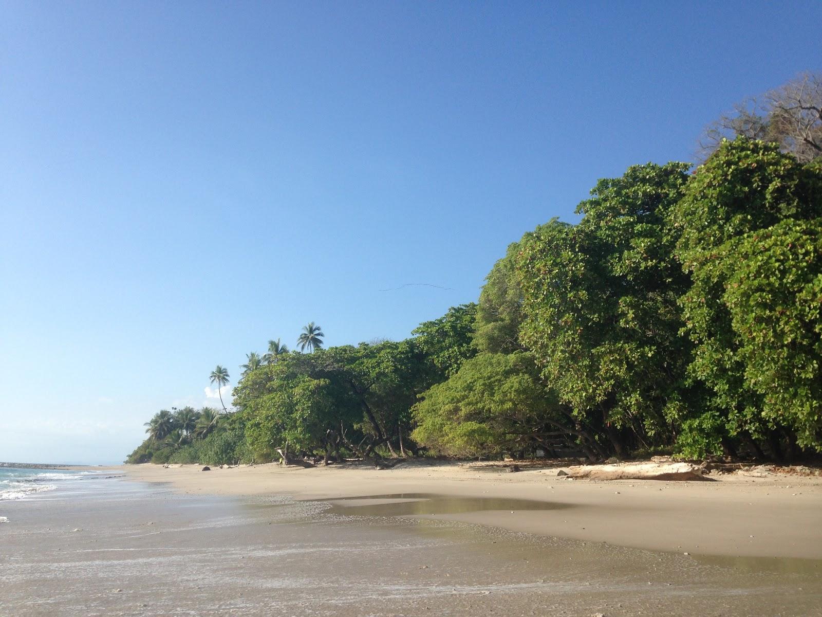 Sandee Playa Divina