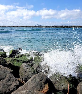 Sandee - Seal Beach