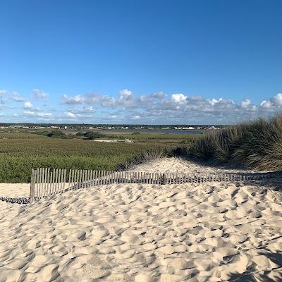 Sandee - Praia Da Gafanha Da Boa Hora