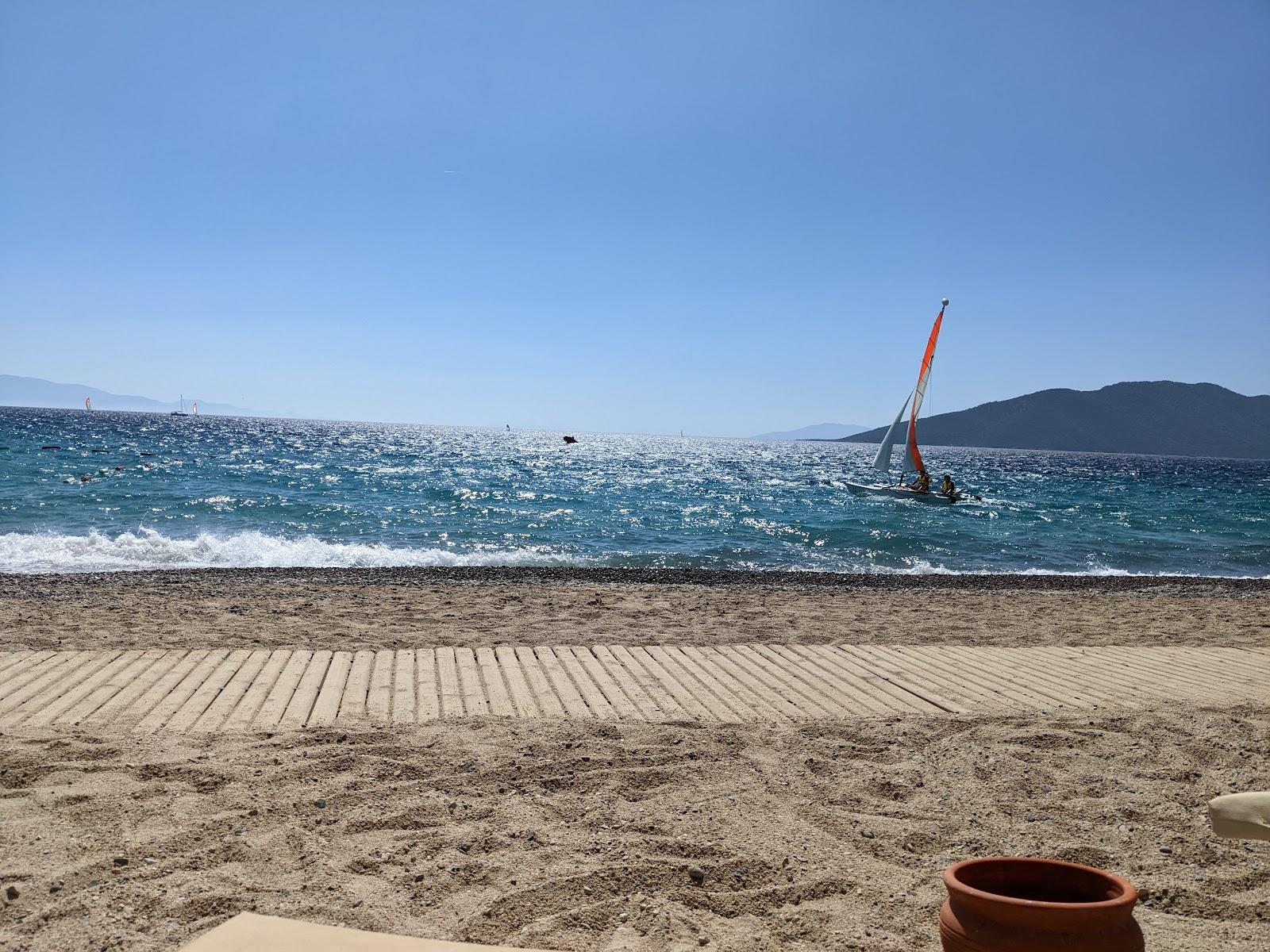 Sandee Club Med Bodrum Palmiye