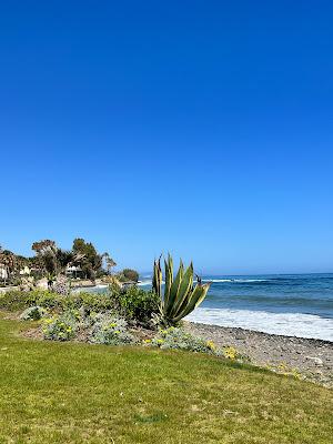 Sandee - Playa Punta De La Plata