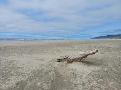 Sandee - Heceta Beach County Park