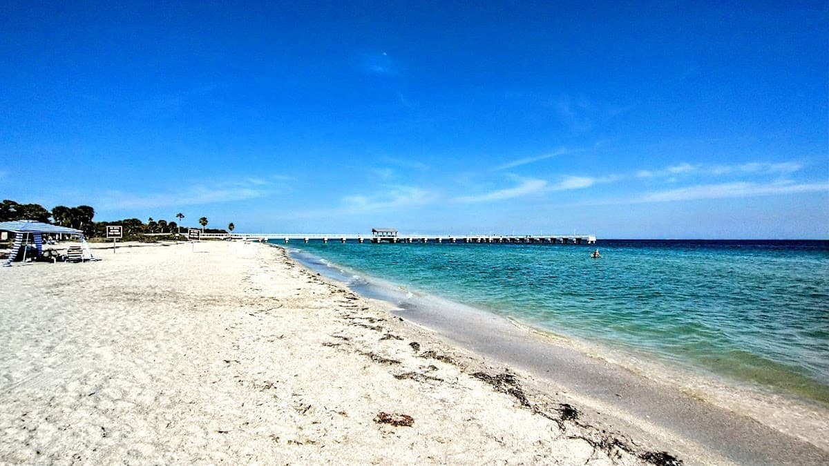 Sandee Fort Desoto Dog Park Beach Photo