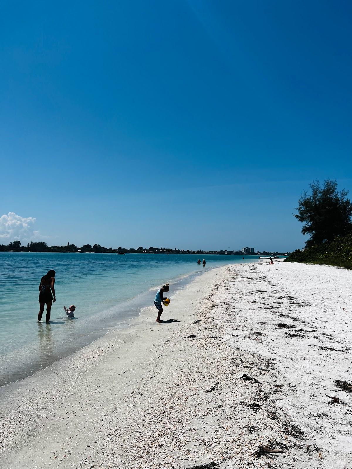 Sandee - South Lido Beach