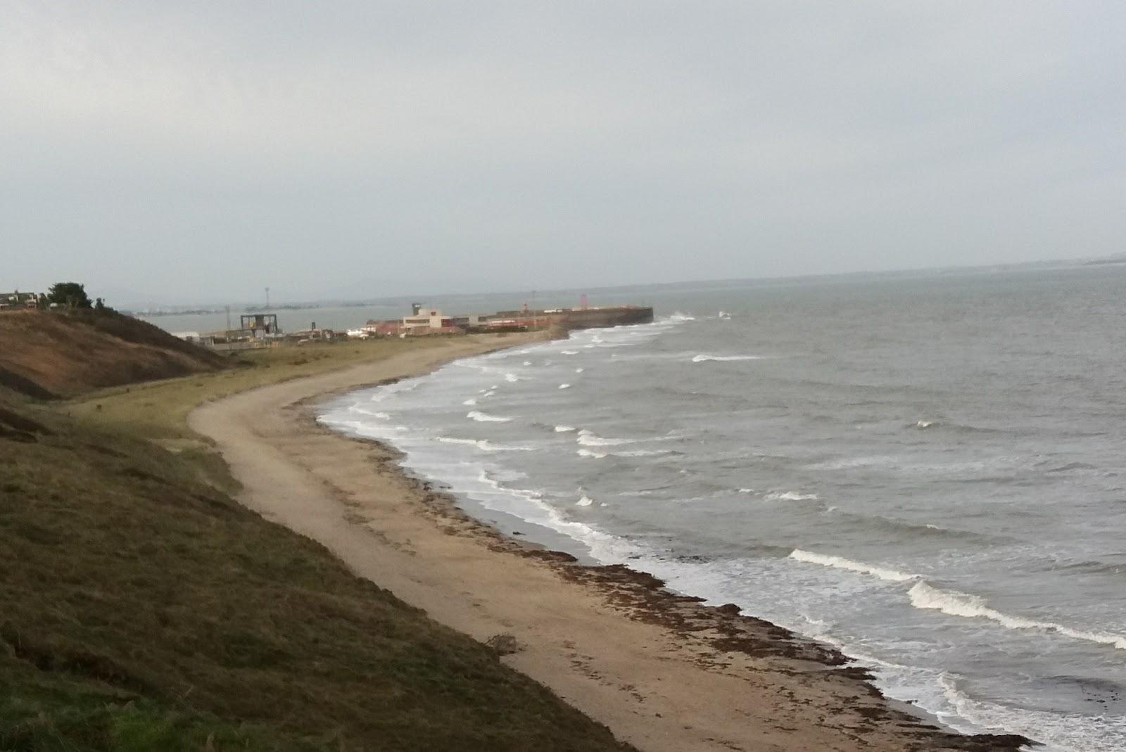 Sandee Waddingsland Bay Beach Photo