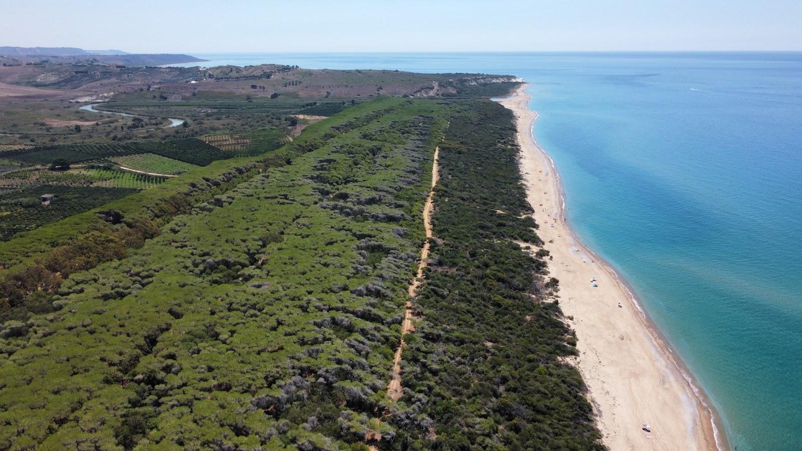 Sandee - Spiaggia Di Borgo Bonsignore