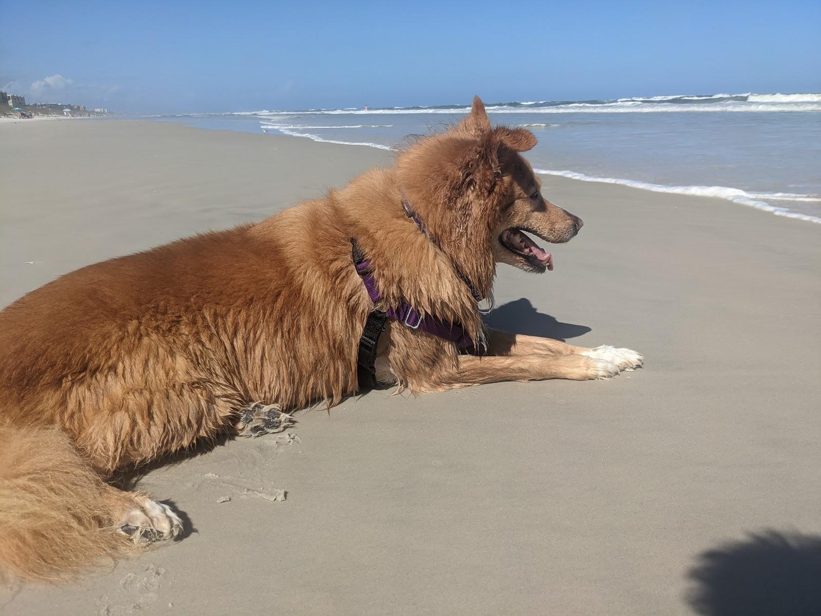 Sandee - Spyglass Public Beach Access