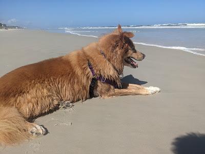 Sandee - Spyglass Public Beach Access