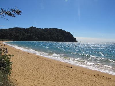 Sandee - Totaranui Bay Beach