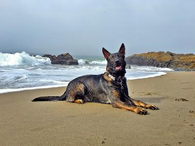 Sandee - Baker Beach