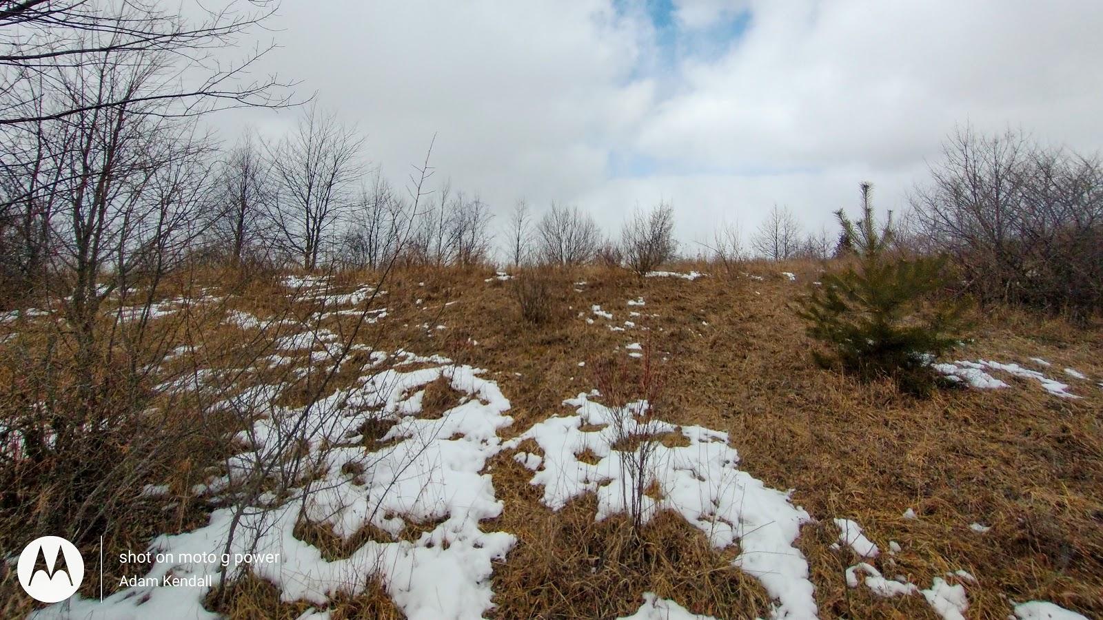 Sandee Petobego Natural Area