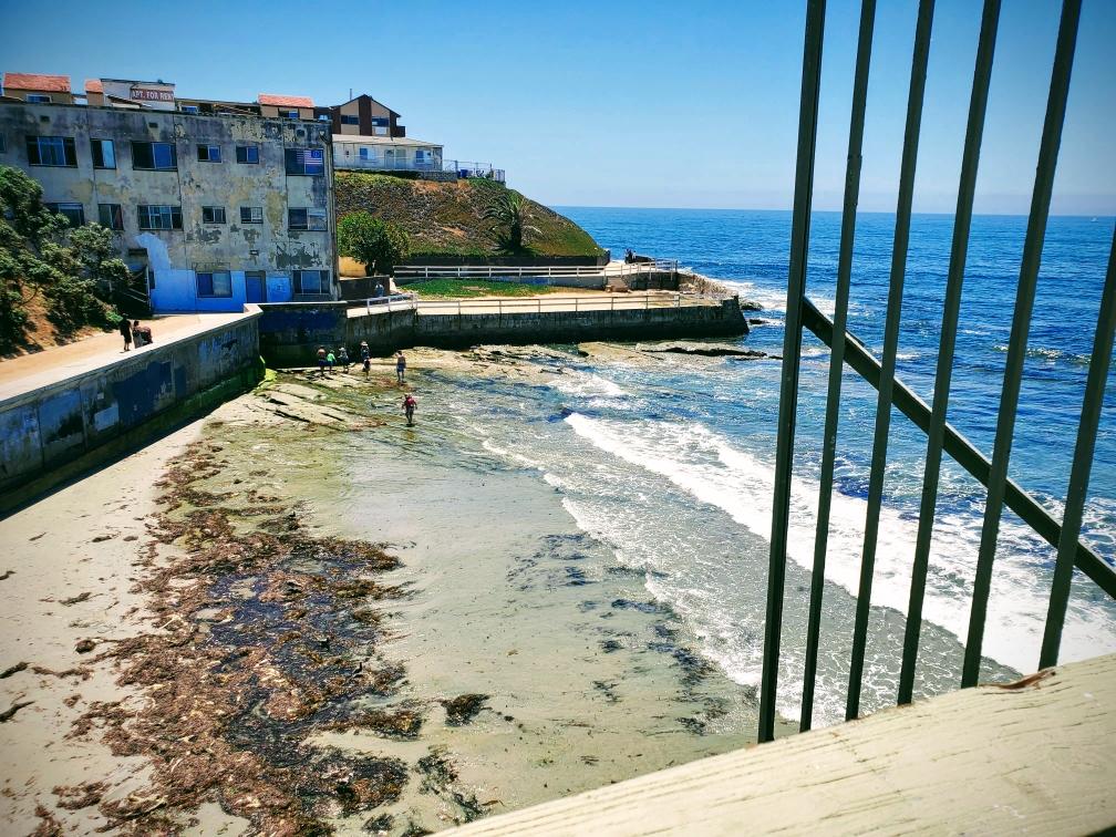 Sandee Ocean Beach
