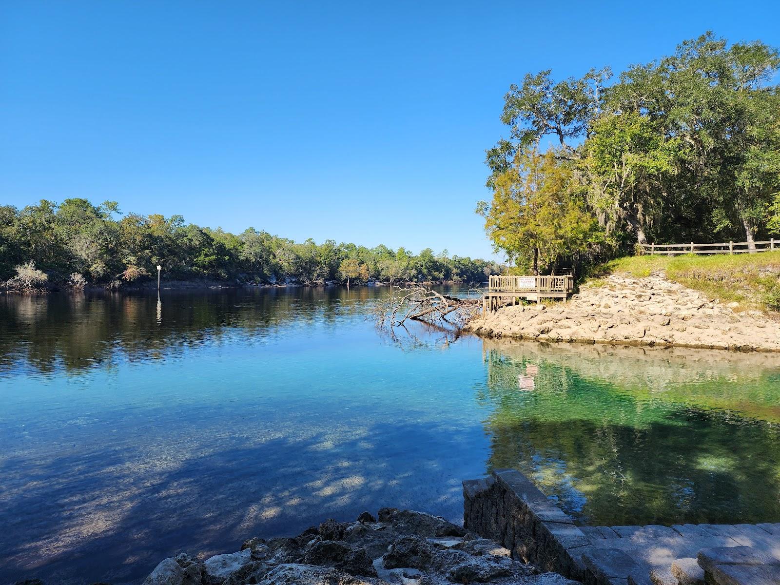 Sandee Little River Springs Photo