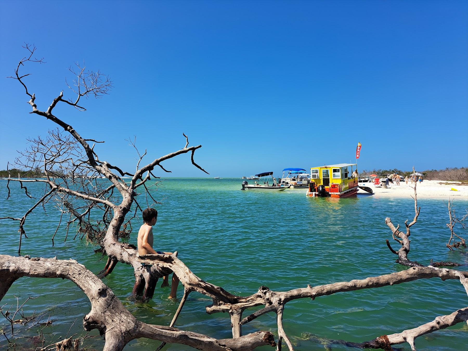 Sandee Bonita Beach Dog Park