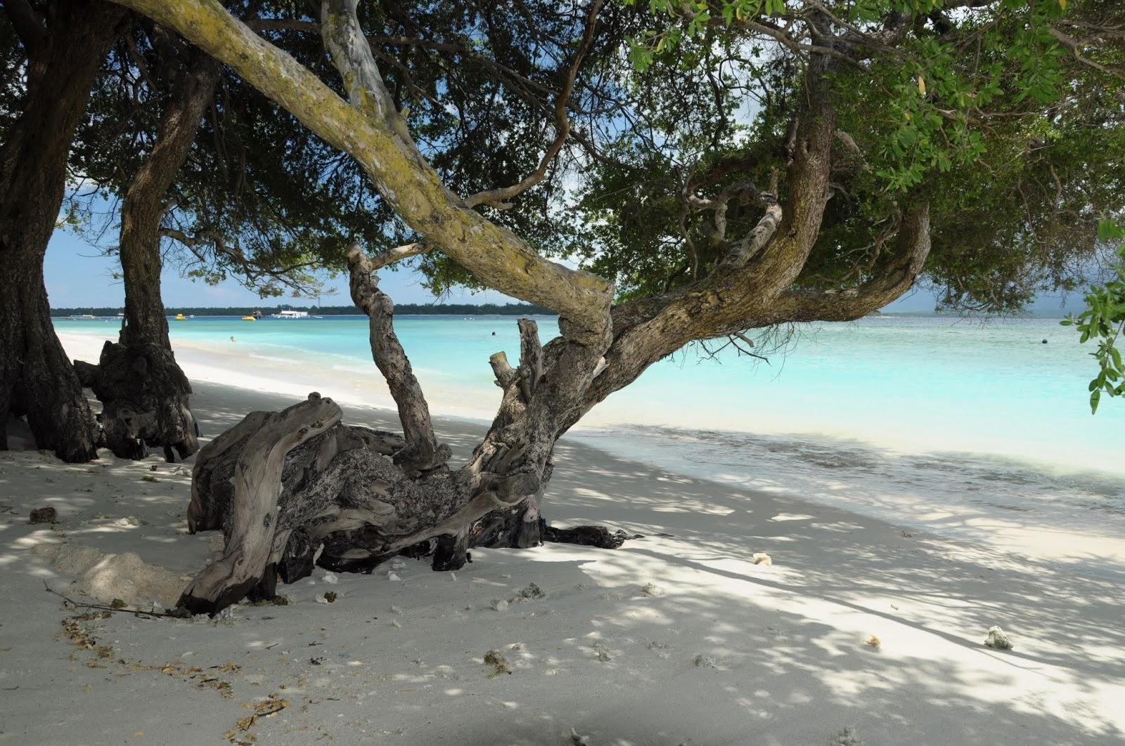 Sandee - Gili Beach