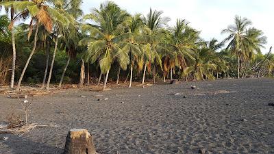 Sandee - Milolii Beach Park