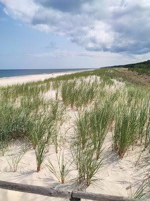 Sandee - Beach Osetnik