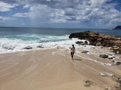 Sandee - Paradise Cove Beach