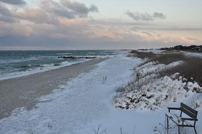 Sandee - The Beach Of Saltbaek