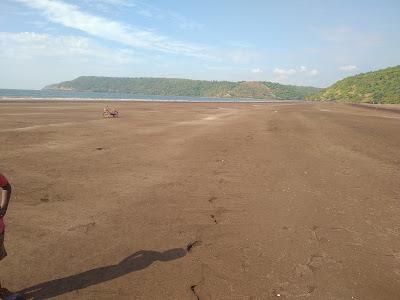 Sandee - Tavsal Beach