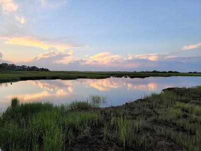 Sandee - Flax Pond Beach